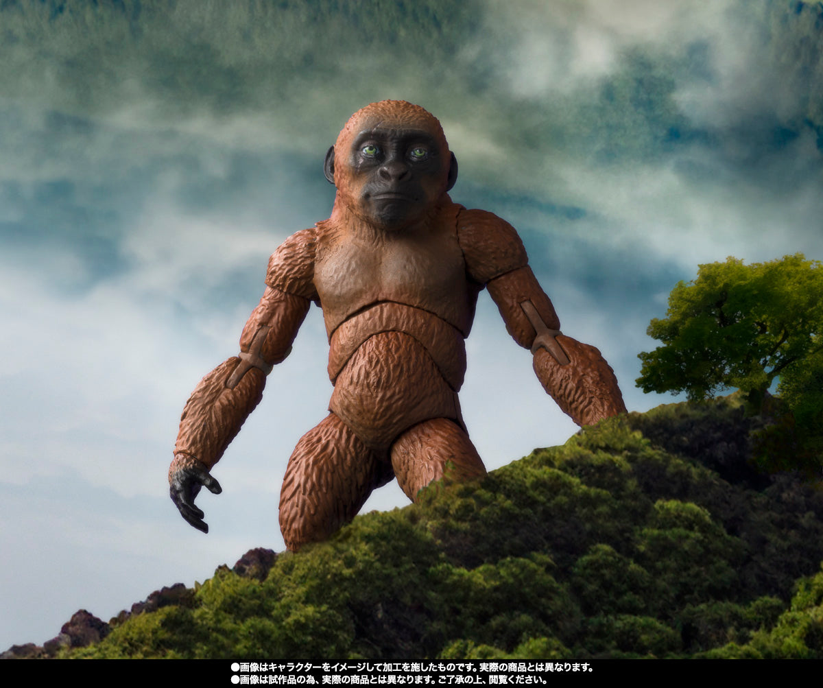 SUKO & MOTHRA 2024 FROM GODZILLA x KONG THE NEW EMPIRE