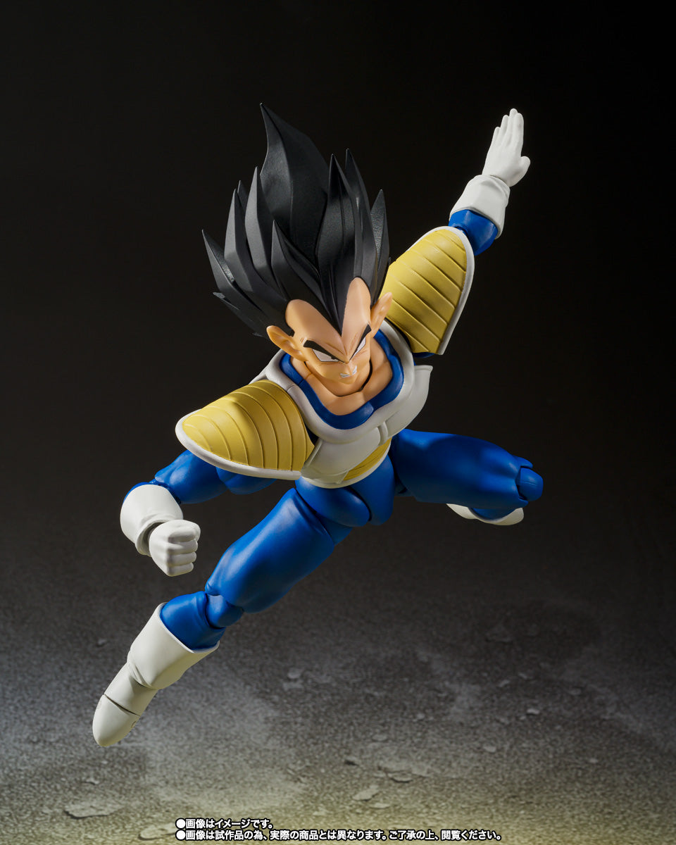 VEGETA -24000 POWER LEVEL- SH FIGUARTS