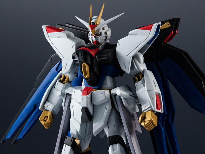 GUNDAM ZGMF-X20A STRIKE FREEDOM GU-28
