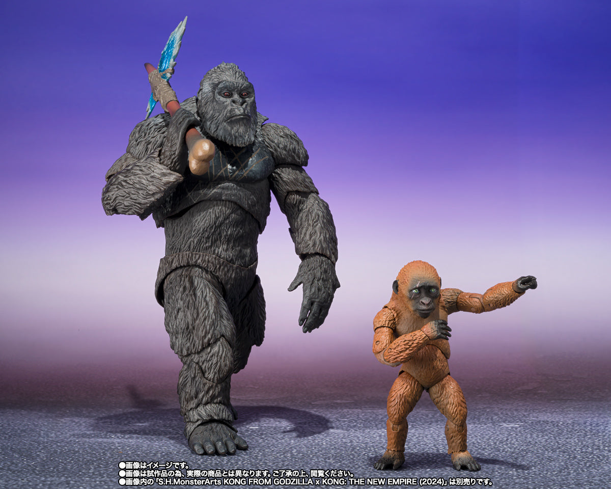 SUKO & MOTHRA 2024 FROM GODZILLA x KONG THE NEW EMPIRE