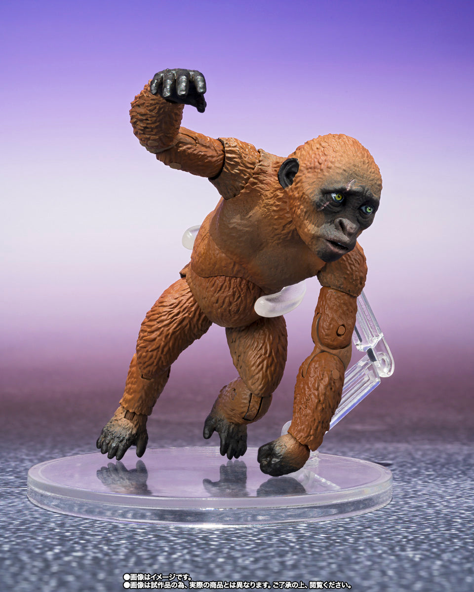 SUKO & MOTHRA 2024 FROM GODZILLA x KONG THE NEW EMPIRE