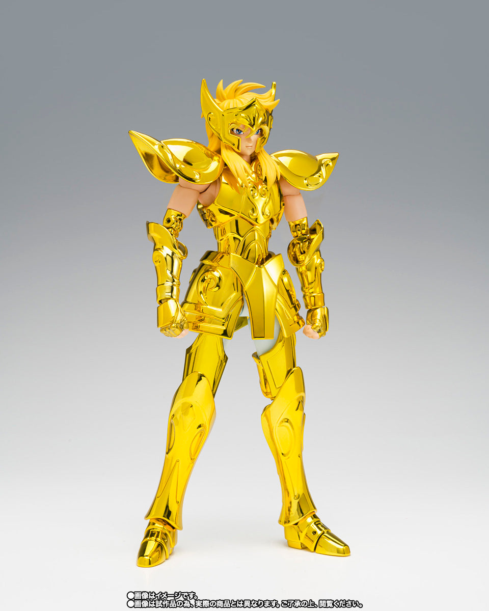 HYOGA DE ACUARIO MYTH CLOTH EX -INHERITOR OF THE GOLD CLOTH-