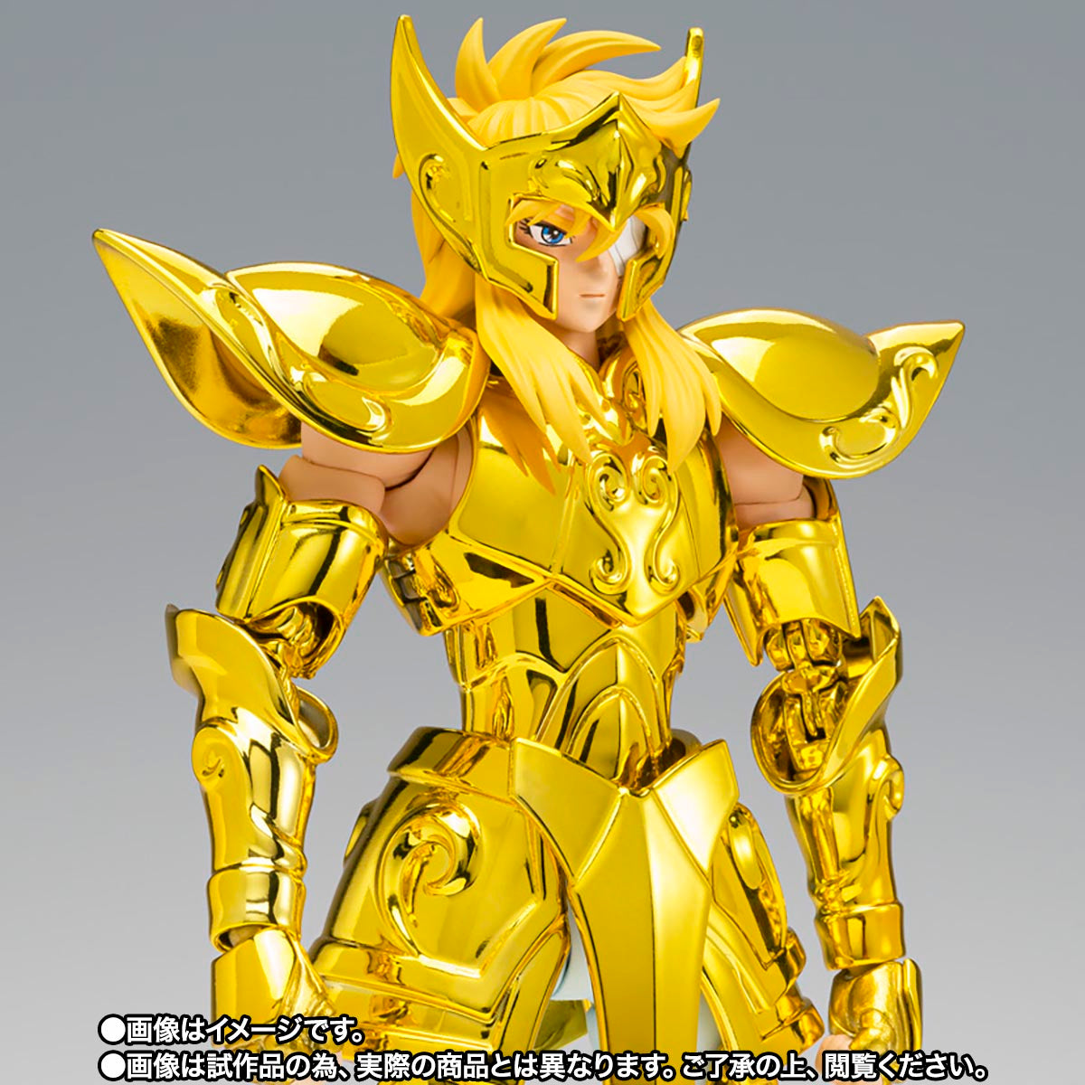 HYOGA DE ACUARIO MYTH CLOTH EX -INHERITOR OF THE GOLD CLOTH-