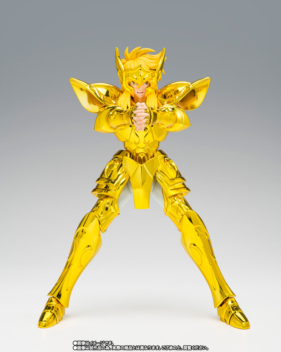 HYOGA DE ACUARIO MYTH CLOTH EX -INHERITOR OF THE GOLD CLOTH-