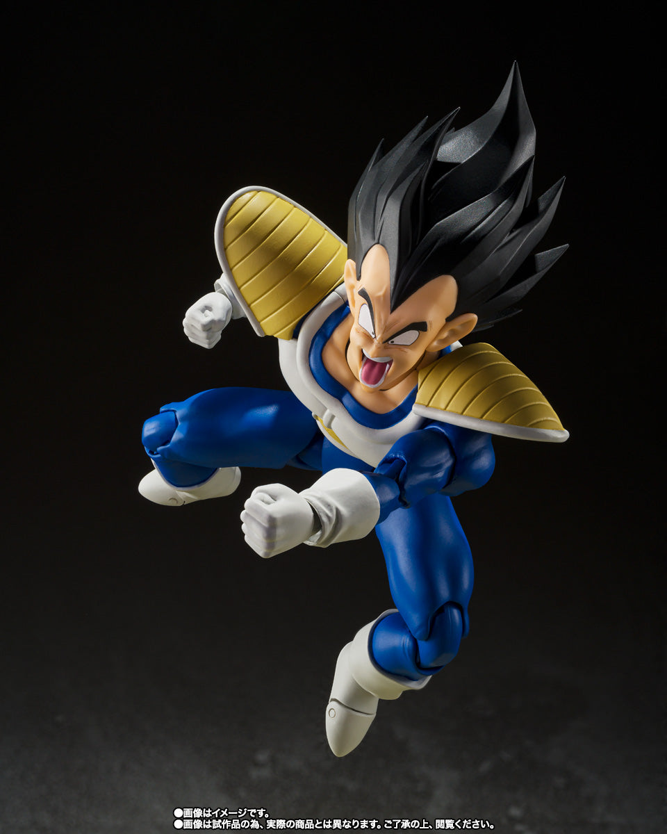 VEGETA -24000 POWER LEVEL- SH FIGUARTS