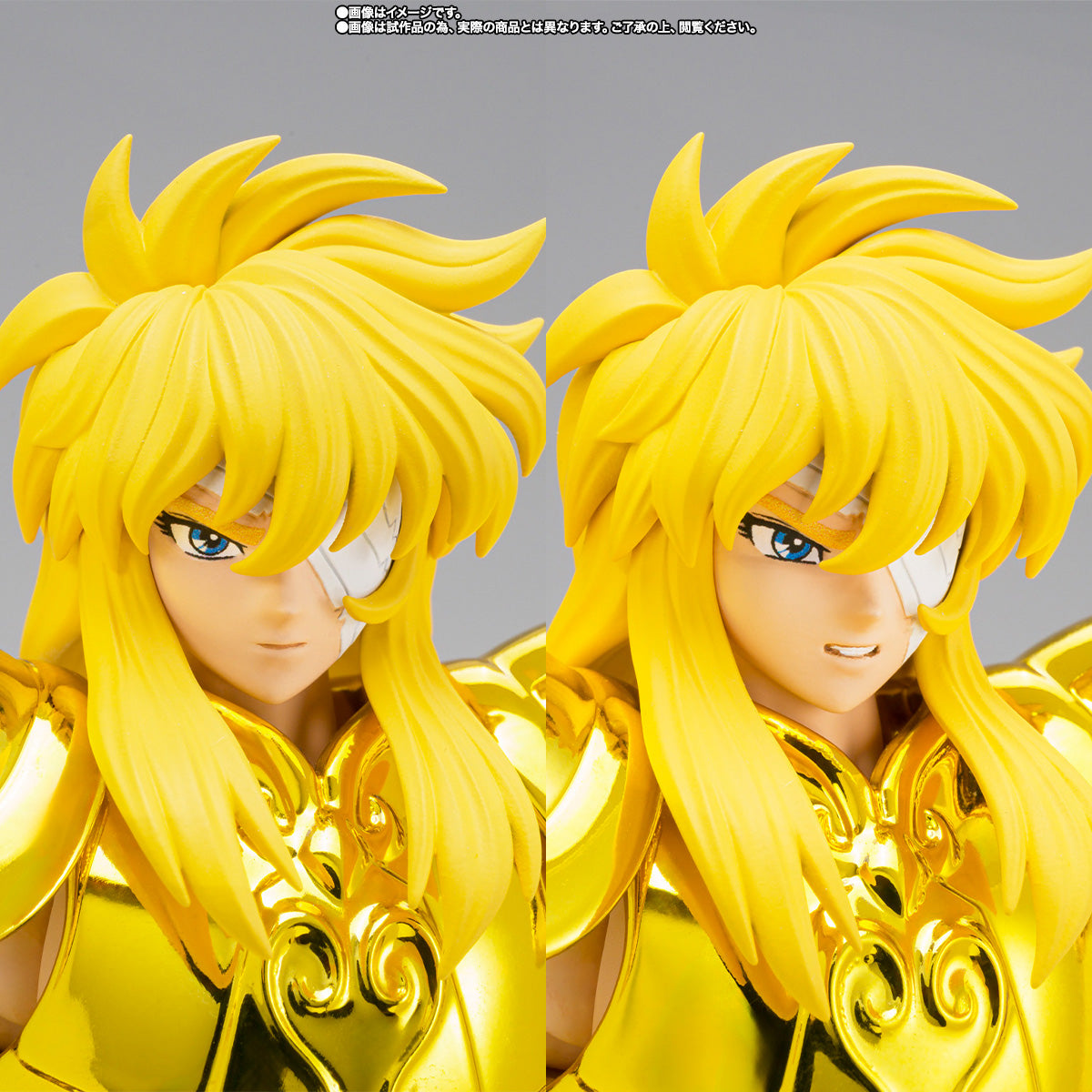 HYOGA DE ACUARIO MYTH CLOTH EX -INHERITOR OF THE GOLD CLOTH-