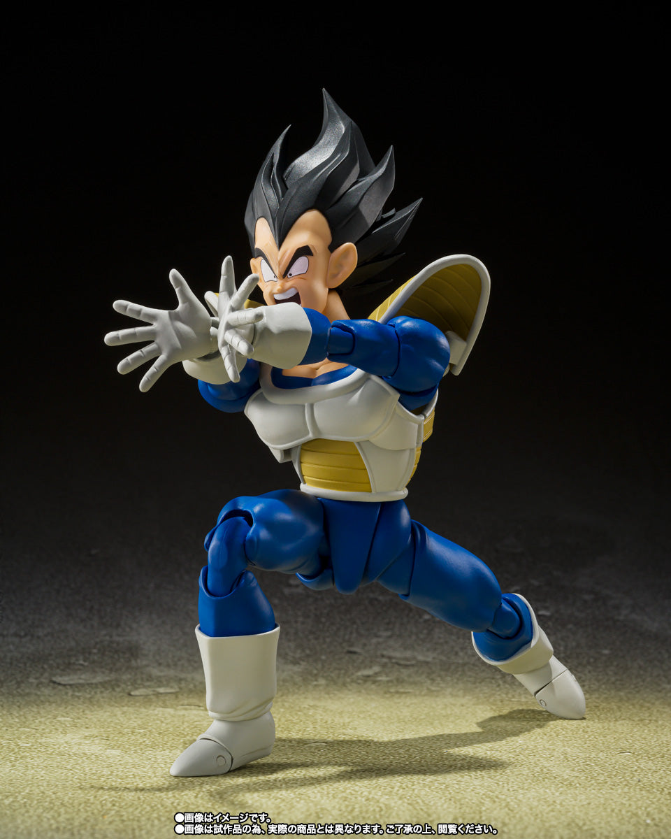 VEGETA -24000 POWER LEVEL- SH FIGUARTS