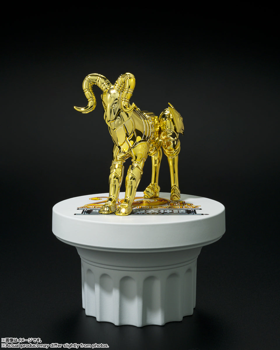 SAINT SEIYA SAINT CLOTH MYTH APÉNDICE GOLD CLOTH OBJECT SET 20th Anniversary