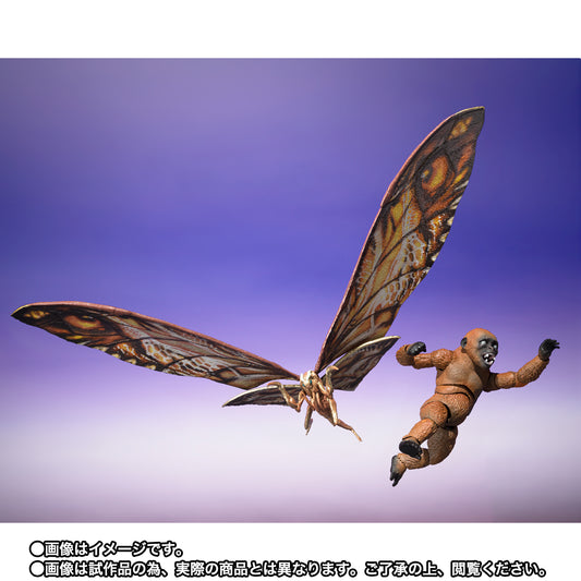 SUKO & MOTHRA 2024 FROM GODZILLA x KONG THE NEW EMPIRE