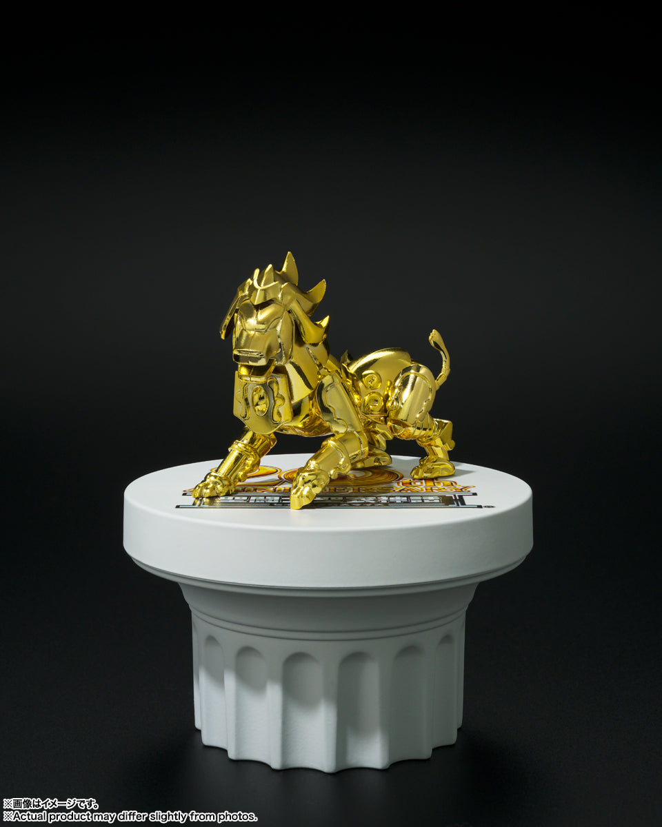 SAINT SEIYA SAINT CLOTH MYTH APÉNDICE GOLD CLOTH OBJECT SET 20th Anniversary