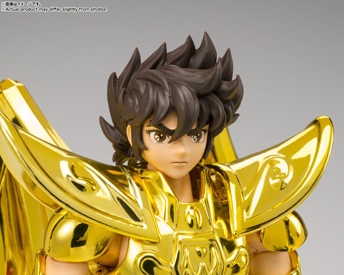 SAGITTARIUS SEIYA -INHERITOR OF THE GOLD CLOTH- MYTH CLOTH EX