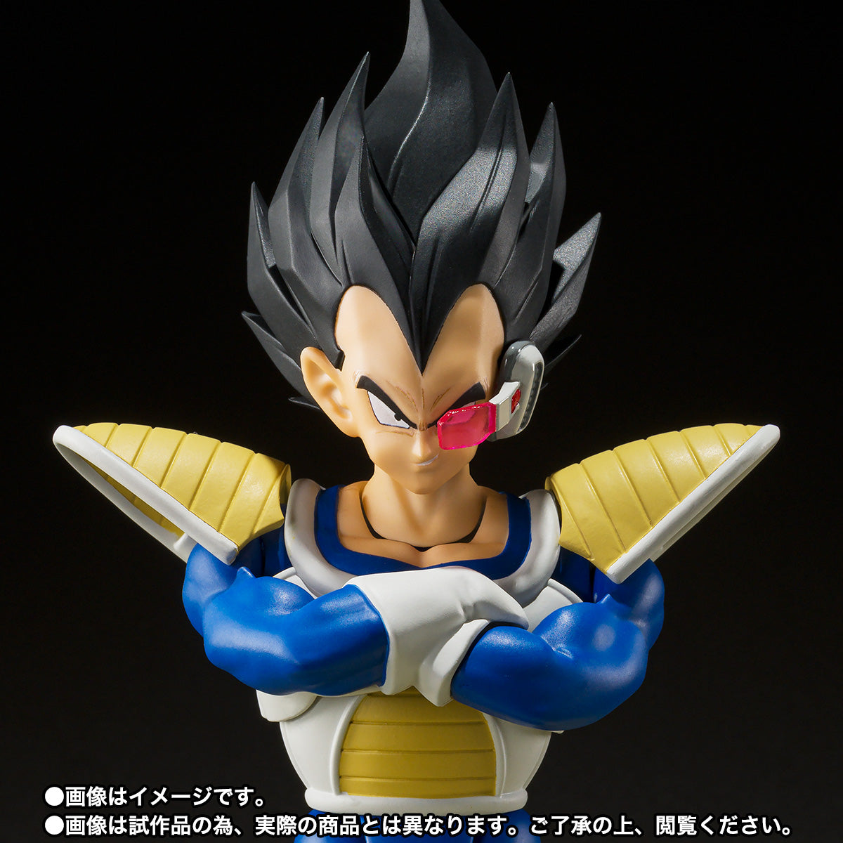 VEGETA -24000 POWER LEVEL- SH FIGUARTS