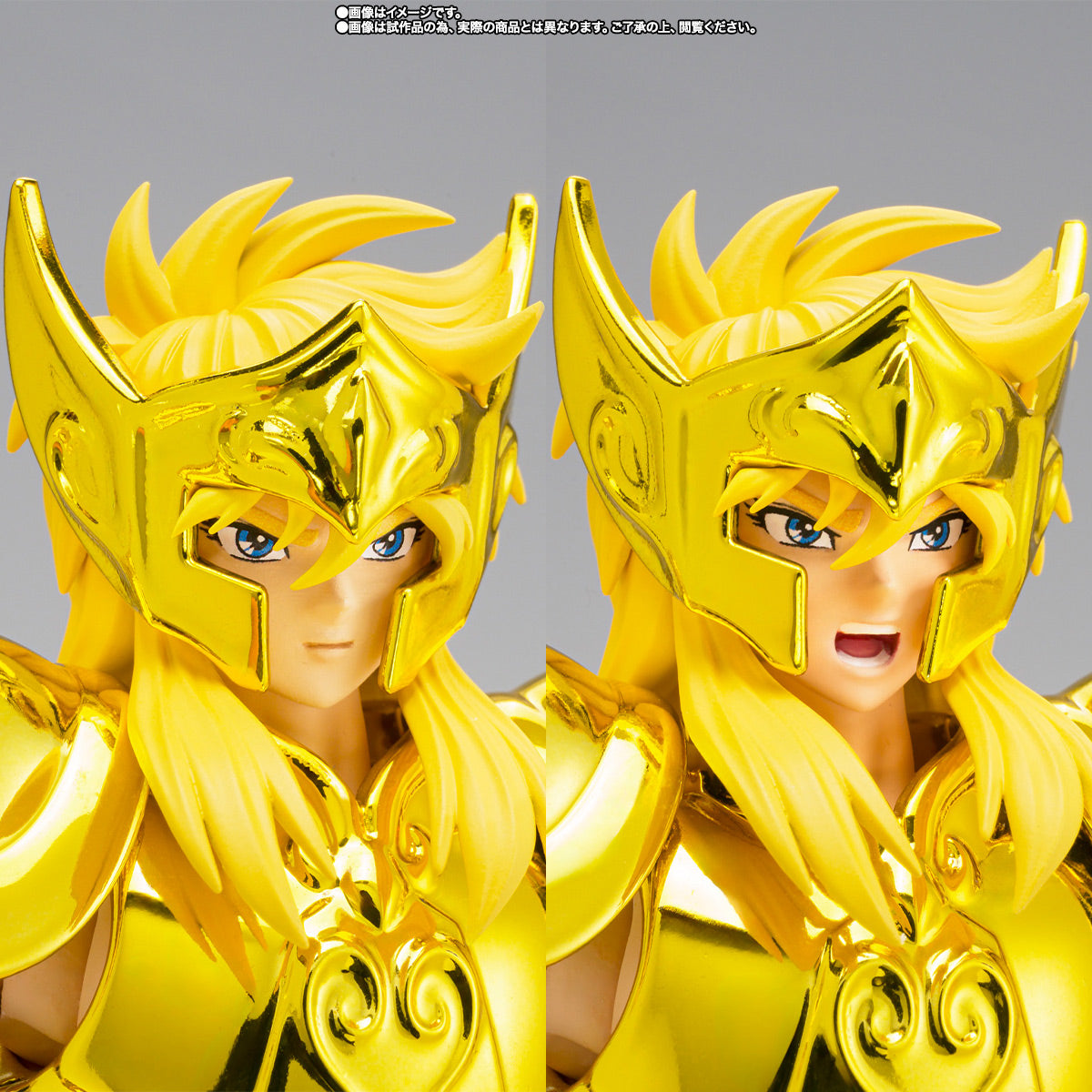 HYOGA DE ACUARIO MYTH CLOTH EX -INHERITOR OF THE GOLD CLOTH-