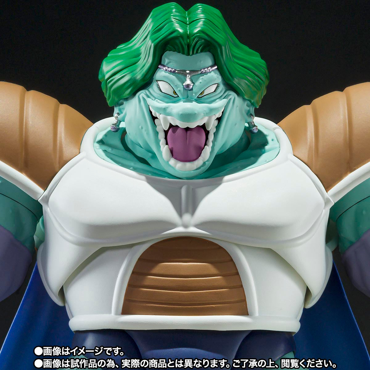 ZARBON -TRUE POWER- SH Figuarts