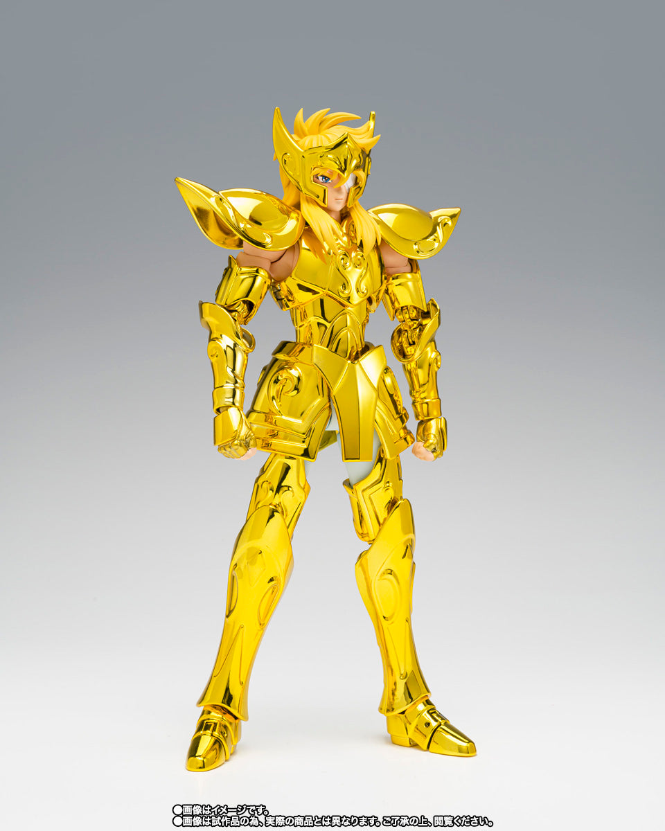 HYOGA DE ACUARIO MYTH CLOTH EX -INHERITOR OF THE GOLD CLOTH-