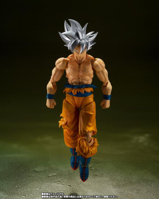 SON GOKU ULTRAINSTINTO (EDITION TOYOTARU) JP