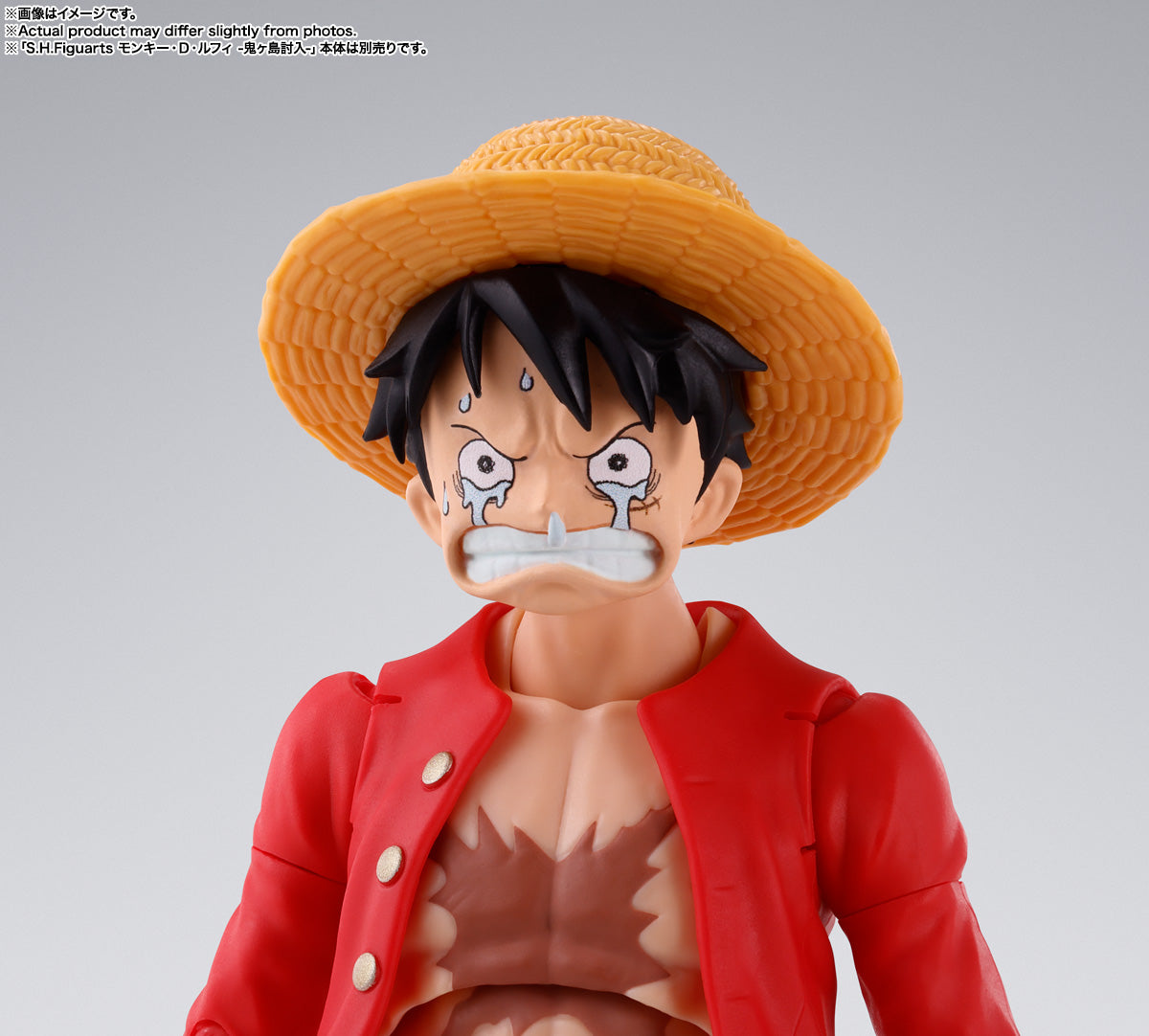 SABO -REVOLUTIONARY ARMY CHIEF OF STAFF- SH FIGUARTS ONE PIECE