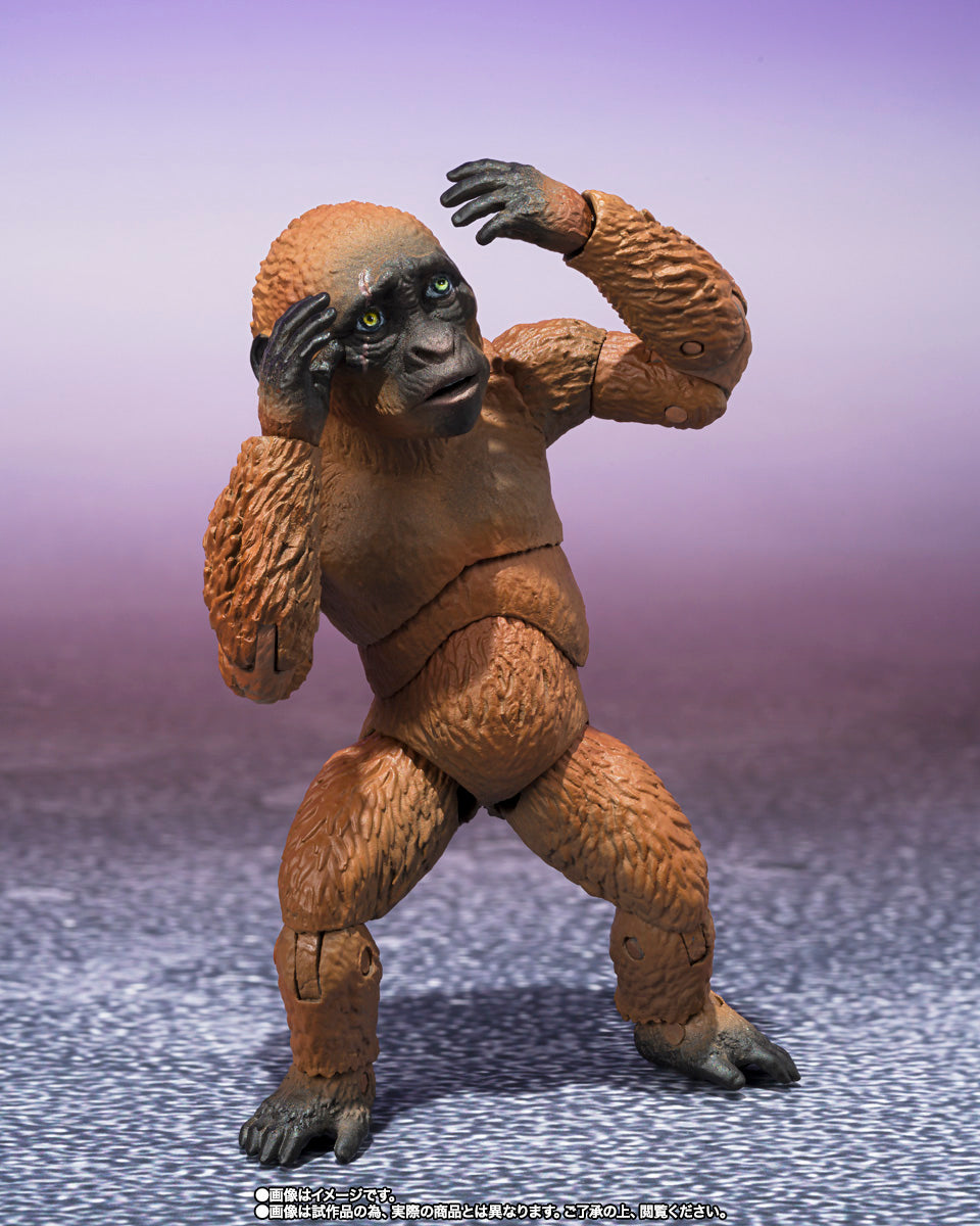 SUKO & MOTHRA 2024 FROM GODZILLA x KONG THE NEW EMPIRE