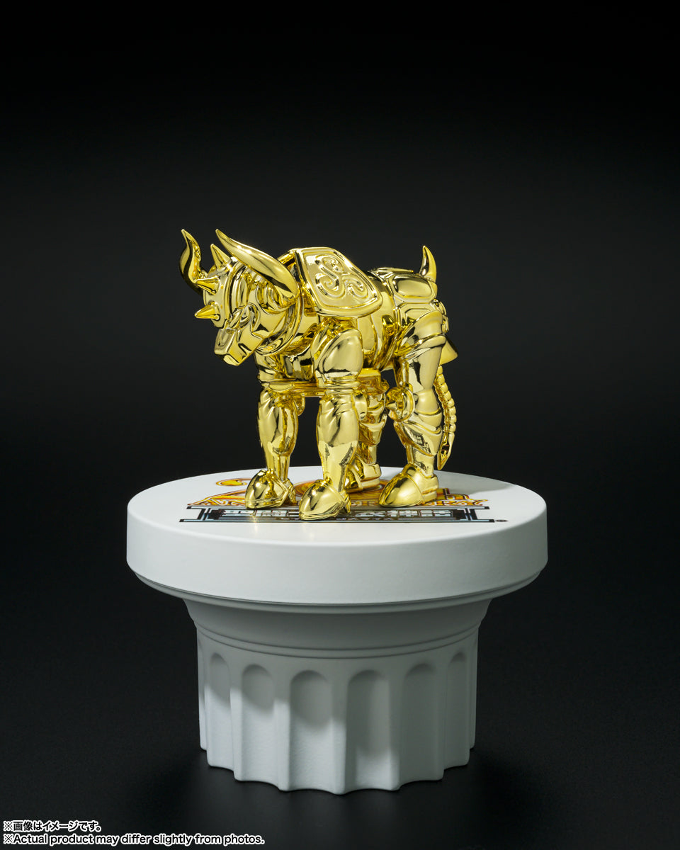 SAINT SEIYA SAINT CLOTH MYTH APÉNDICE GOLD CLOTH OBJECT SET 20th Anniversary