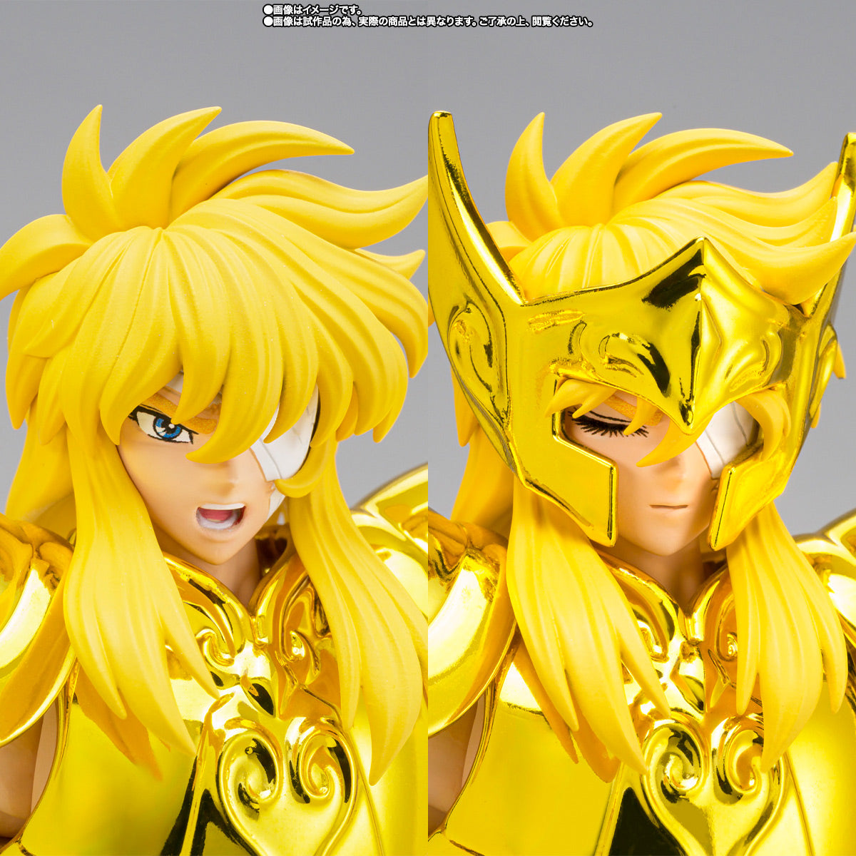 HYOGA DE ACUARIO MYTH CLOTH EX -INHERITOR OF THE GOLD CLOTH-