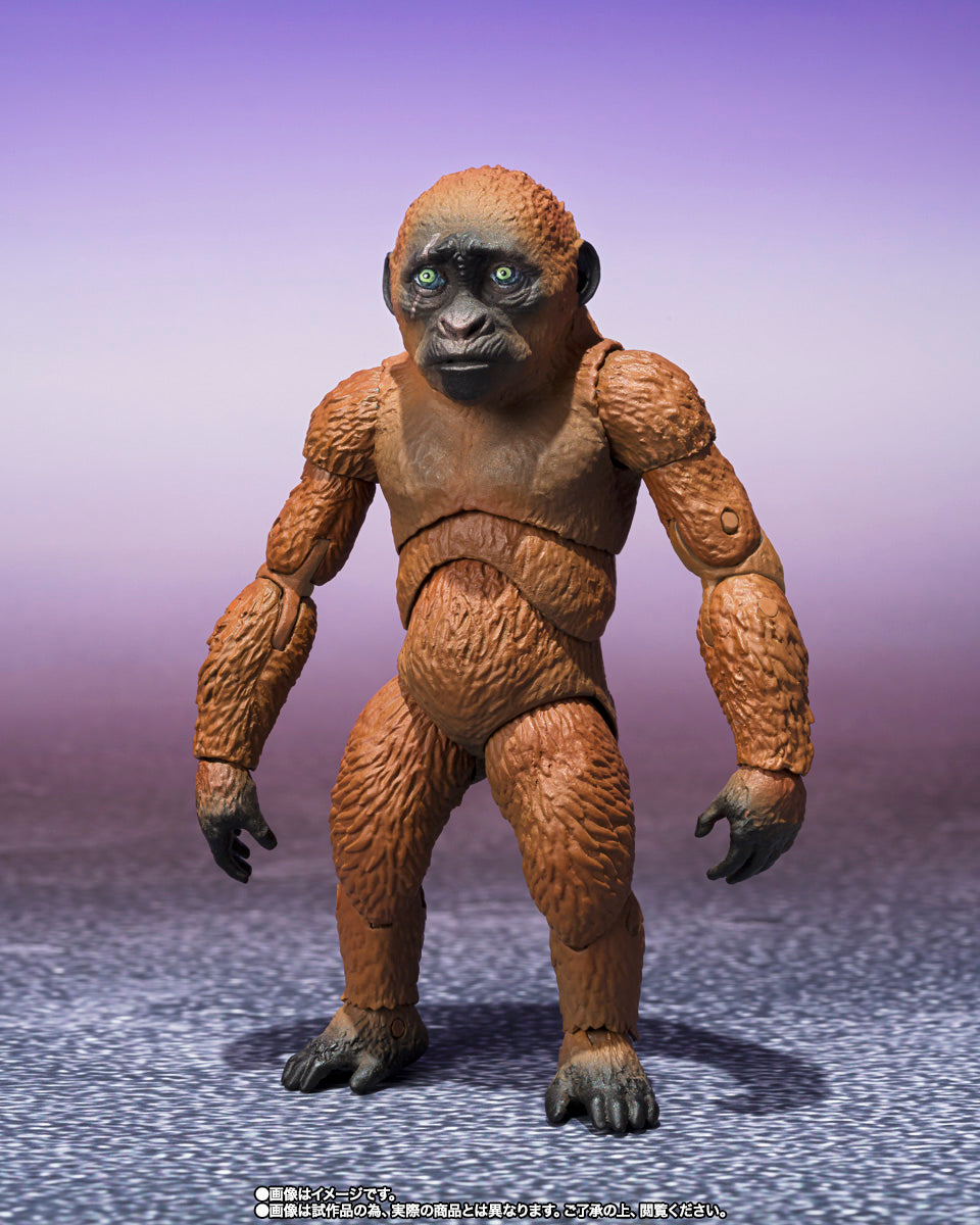 SUKO & MOTHRA 2024 FROM GODZILLA x KONG THE NEW EMPIRE