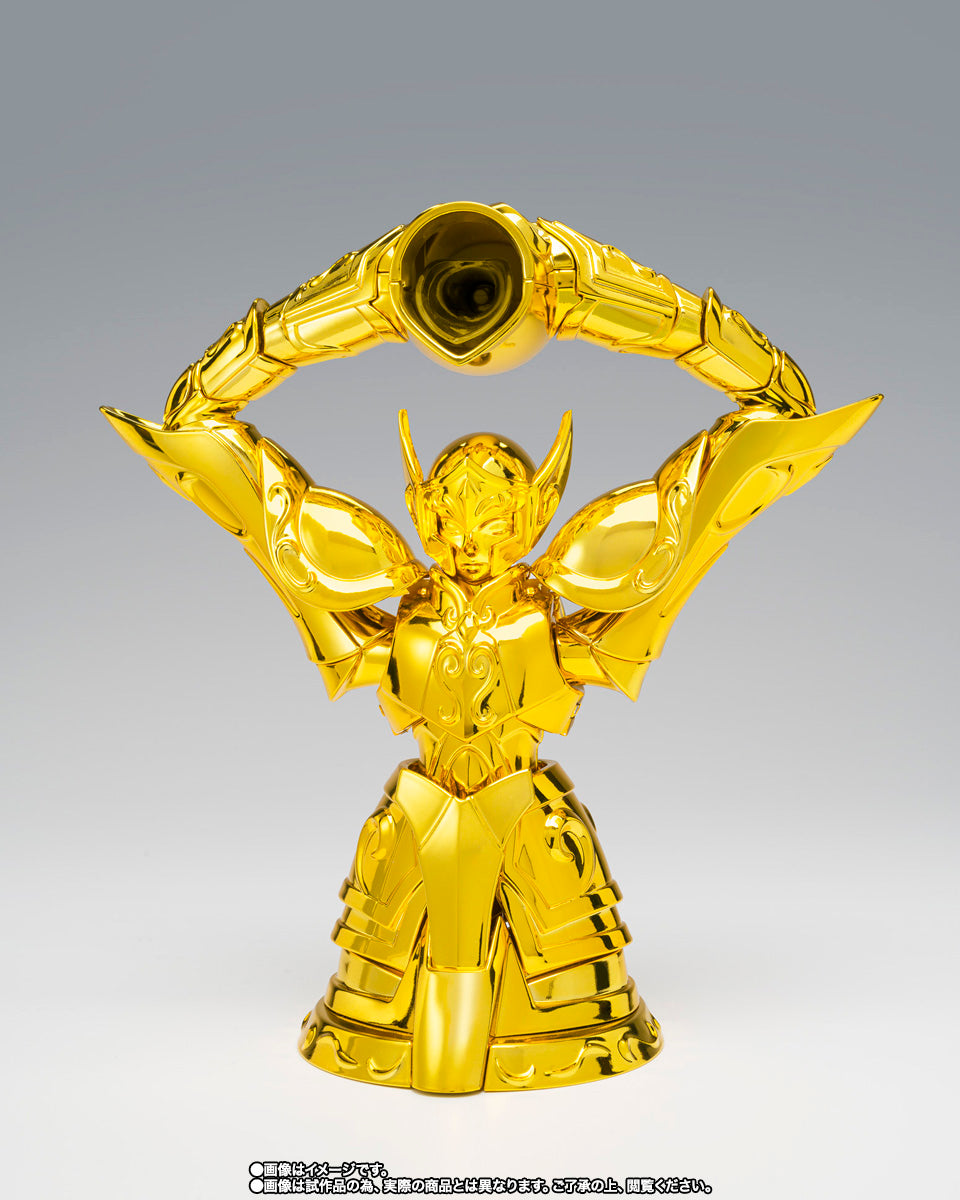 HYOGA DE ACUARIO MYTH CLOTH EX -INHERITOR OF THE GOLD CLOTH-